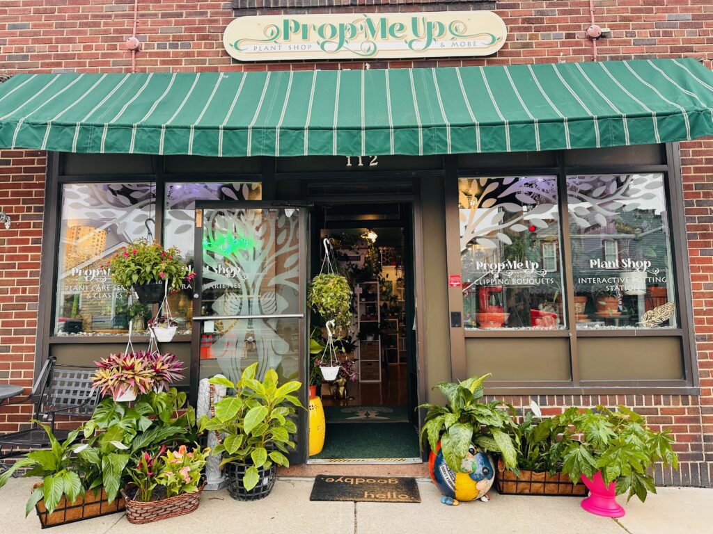 Home - Prop Me Up - Houseplant Shop In Fairport NY