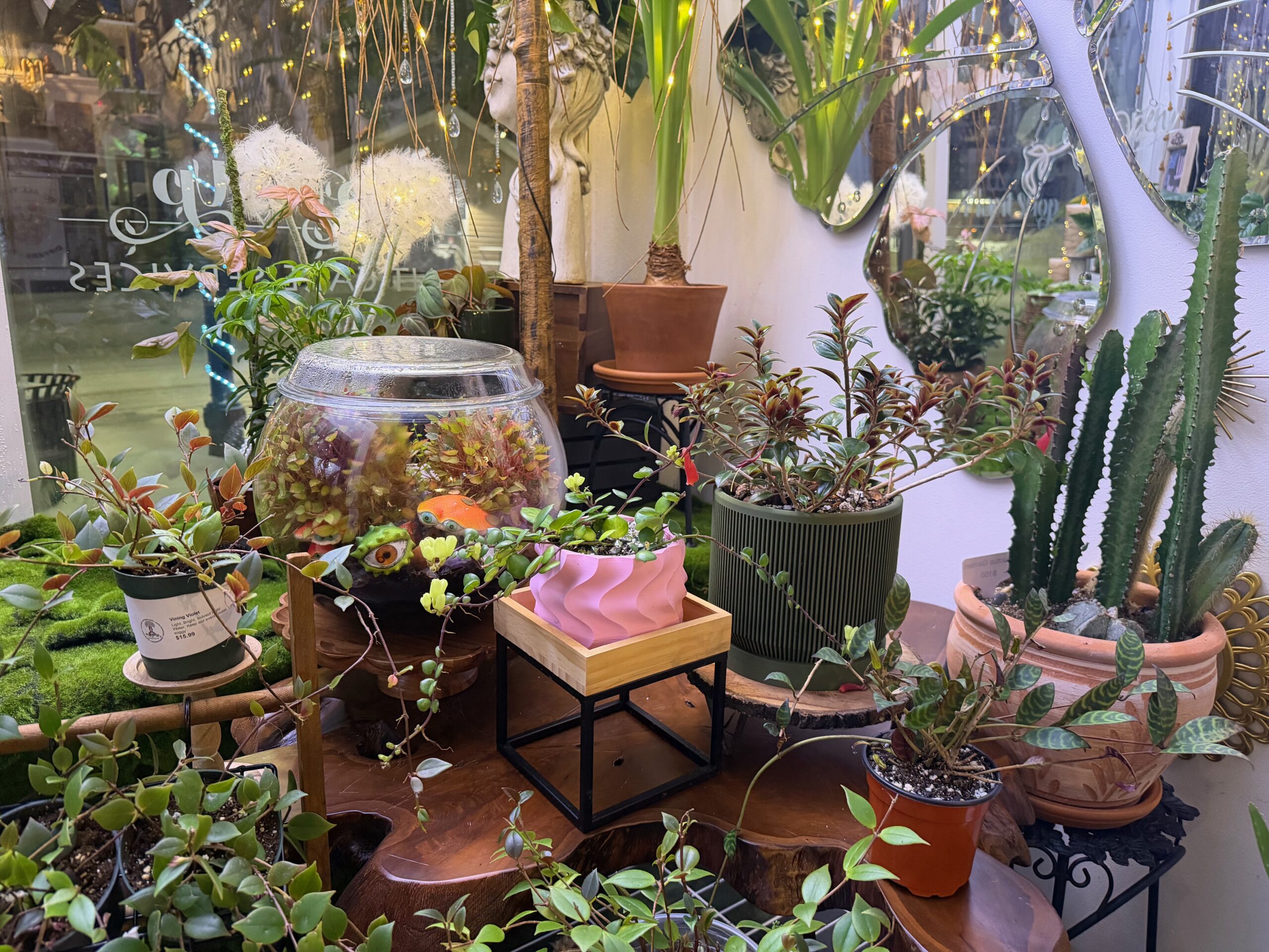 Plants at Prop Me Up